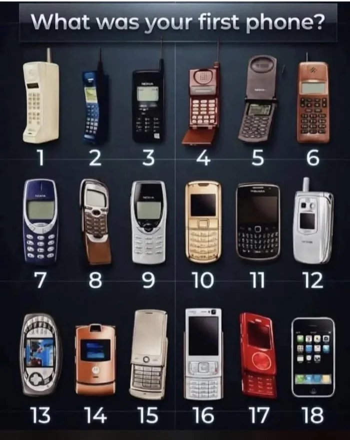 7-The-standard-absolute-unit-of-a-phone-1783414082241.jpg