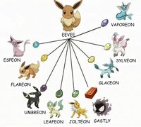 Eevee-1784869003249.jpg