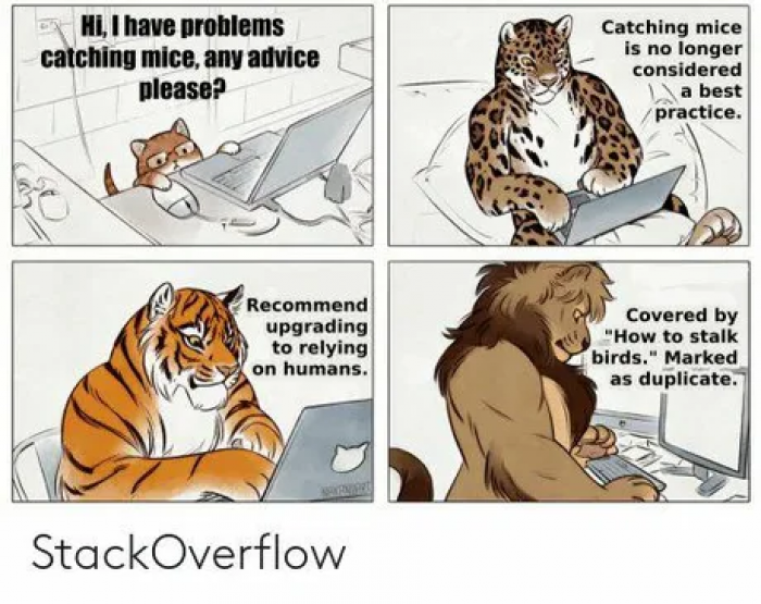 StackOverflow_Really_wonderful_people.png