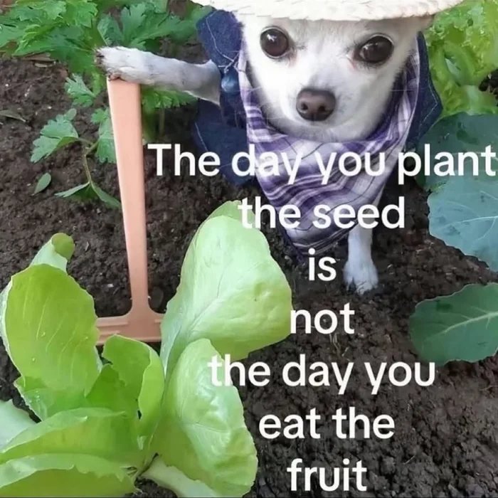 Just-keep-at-it-1786713852004.jpg