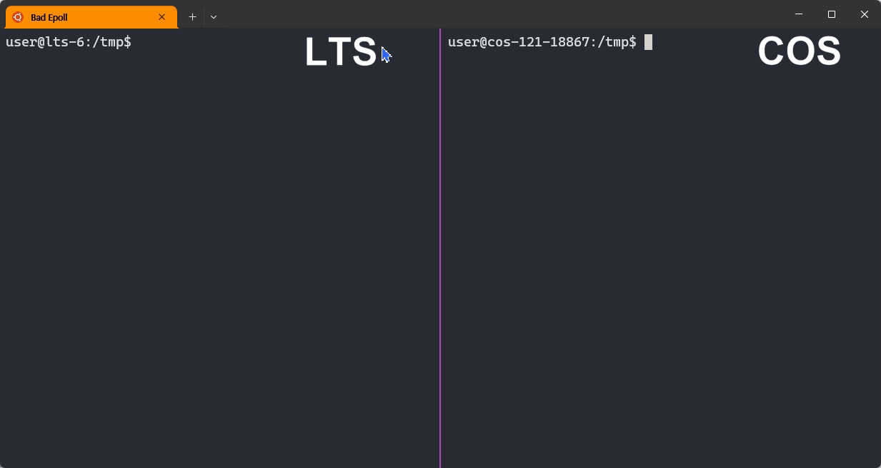 demo.gif