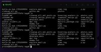 Screenshot_2026-06-17_00-57-20.png